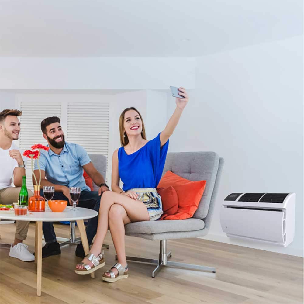 Friedrich WallMaster AC Efficient Cooling with Heat Pump System