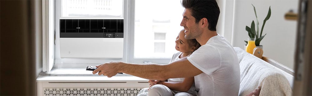 Friedrich Kuhl Cooling with Heat Pump AC Lifestyle Living Room View