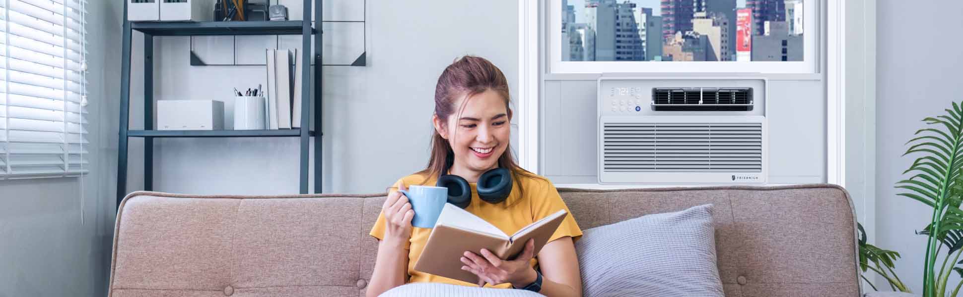 Friedrich Chill Premier Inverter Small Chassis AC - Living Room