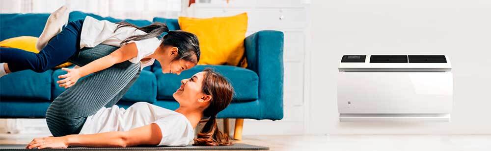 Friedrich WallMaster with Heat Pump AC - Lifestyle Living Room View