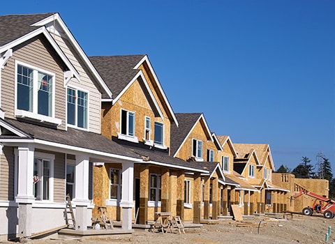 Single Family & Custom Homes