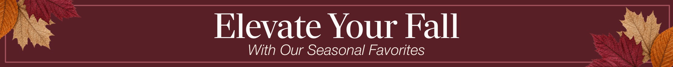 Elevate your fall with our seasonal favorites