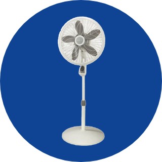Fans