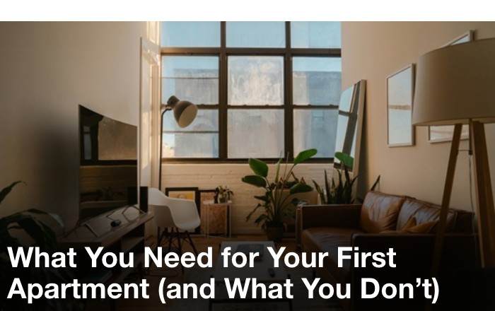 what you need for your apartment and what you dont