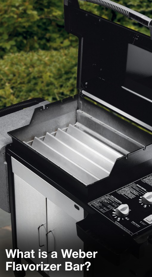 What is a weber flavorizer bar