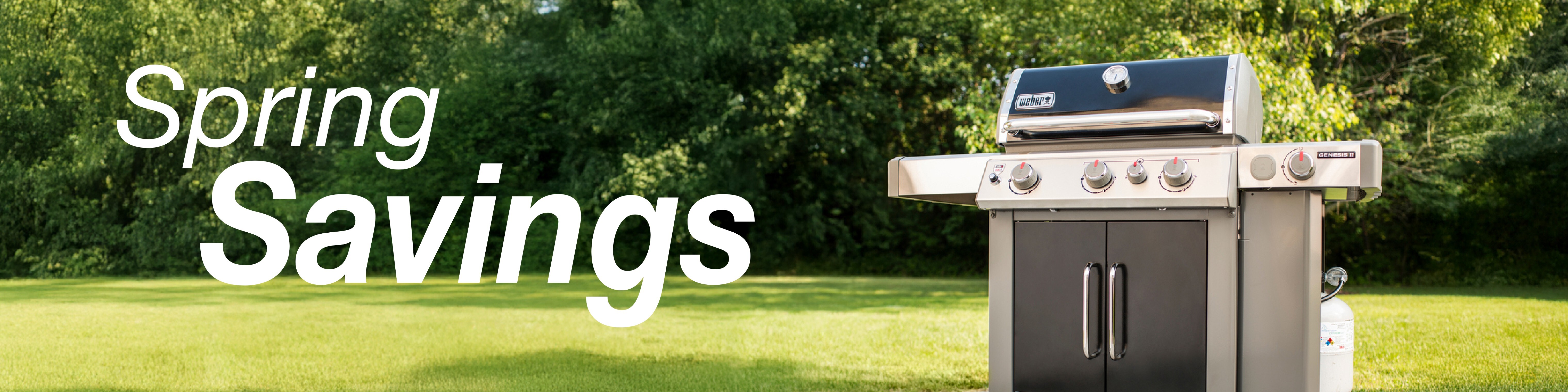 Spring Savings