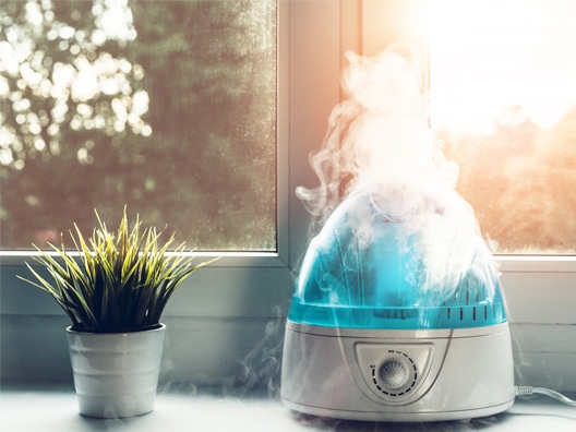 Humidifier at Window with Lens Flare