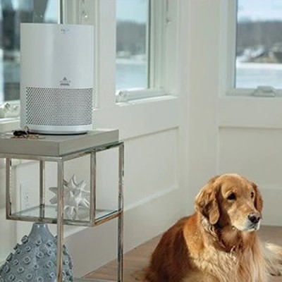 Air Purifier on Side Table
with Dog on Floor Nearby
