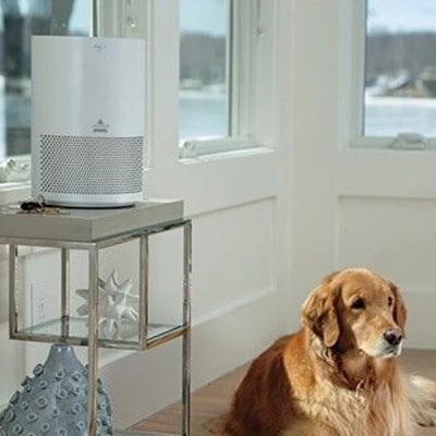 Air Purifier on Side Table
with Dog on Floor Nearby