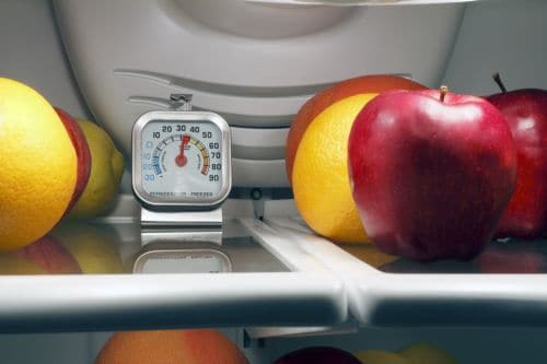 Refrigerator Interior with Thermometer