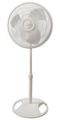 White Pedestal Fan