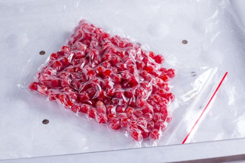 Berries Sealed in Freezer Bag
