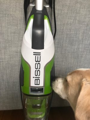 Dog Sniffing Bissell Crosswave