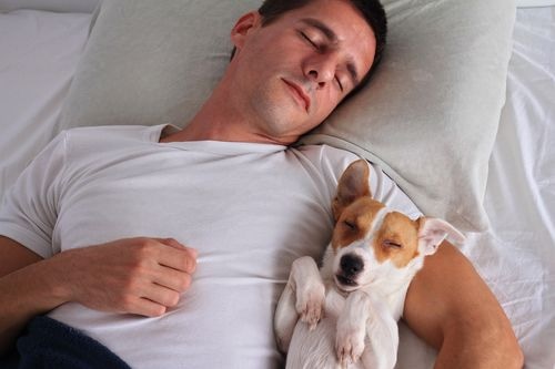 Man and dog sleeping in bed