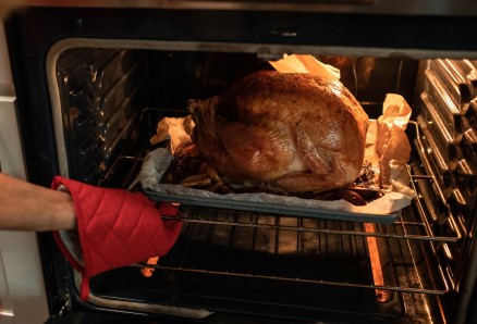 A freshly-cooked turkey