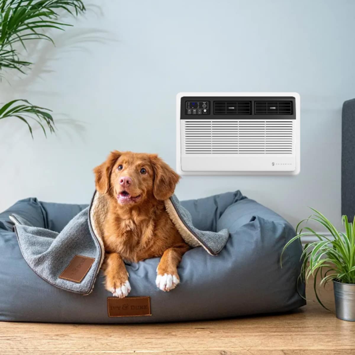 Friedrich Uni-Fit Series 14,000 BTU 230V Smart Through-the-Wall Air Conditioner with Electric Heat, 3 Fan Speeds, Remote Control - White, , hires