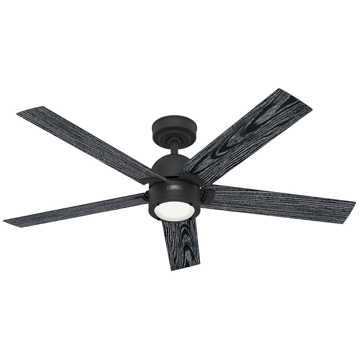 Hunter 52 in. Erling Energy Star Ceiling Fan with LED Light Kit