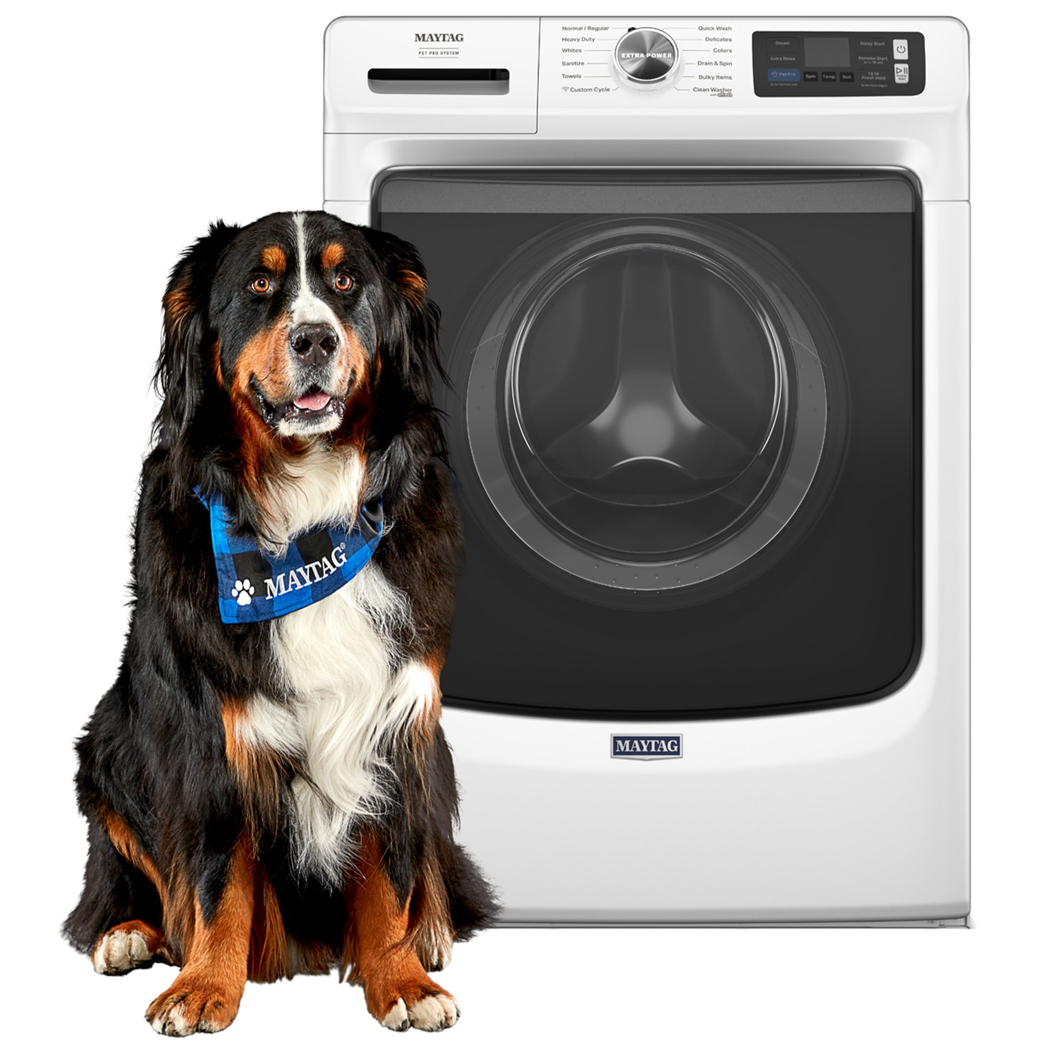 Maytag Pet Pro 27 in. 5.0 cu. ft. Smart Stackable Front Load Washer with Sanitize & Steam Cycle - White, White, hires