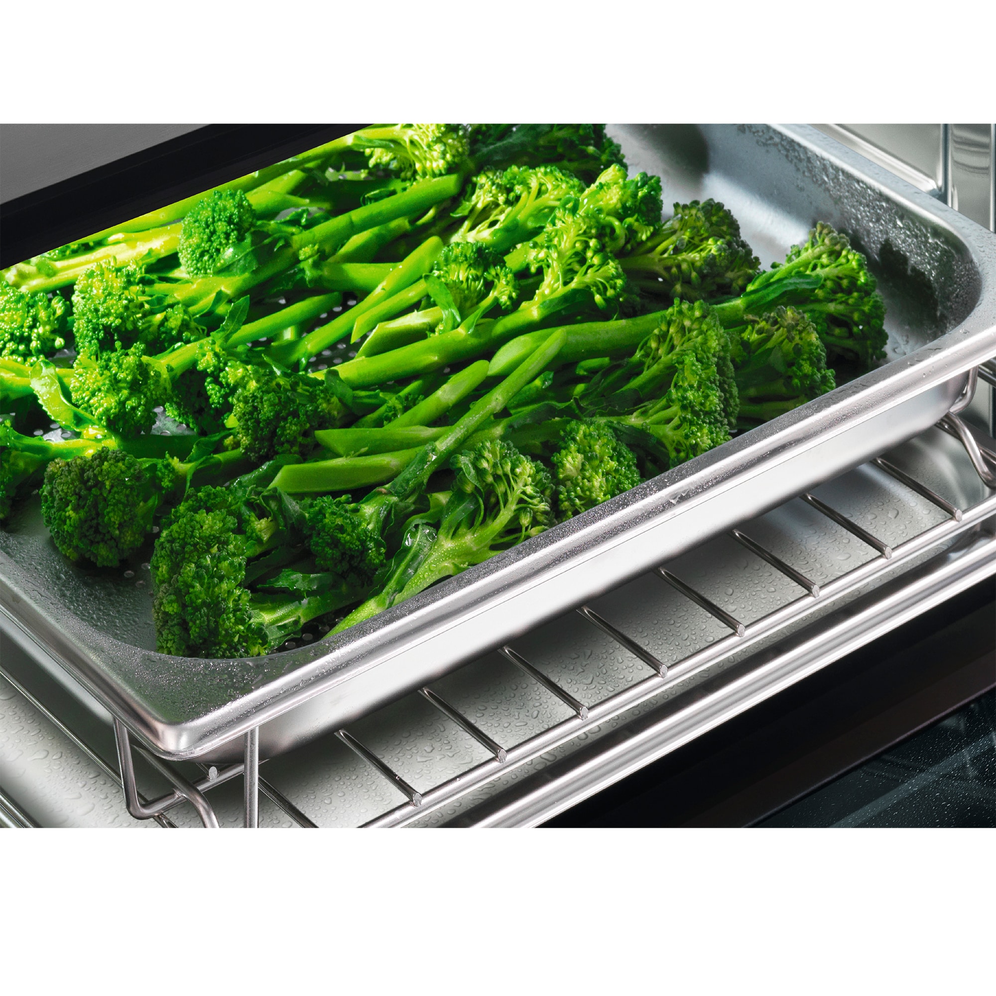 Fisher & Paykel Series 9 24 in. 1.3 cu. ft. Steam Electric Single Wall Oven with True European Convection - Stainless Steel, , hires