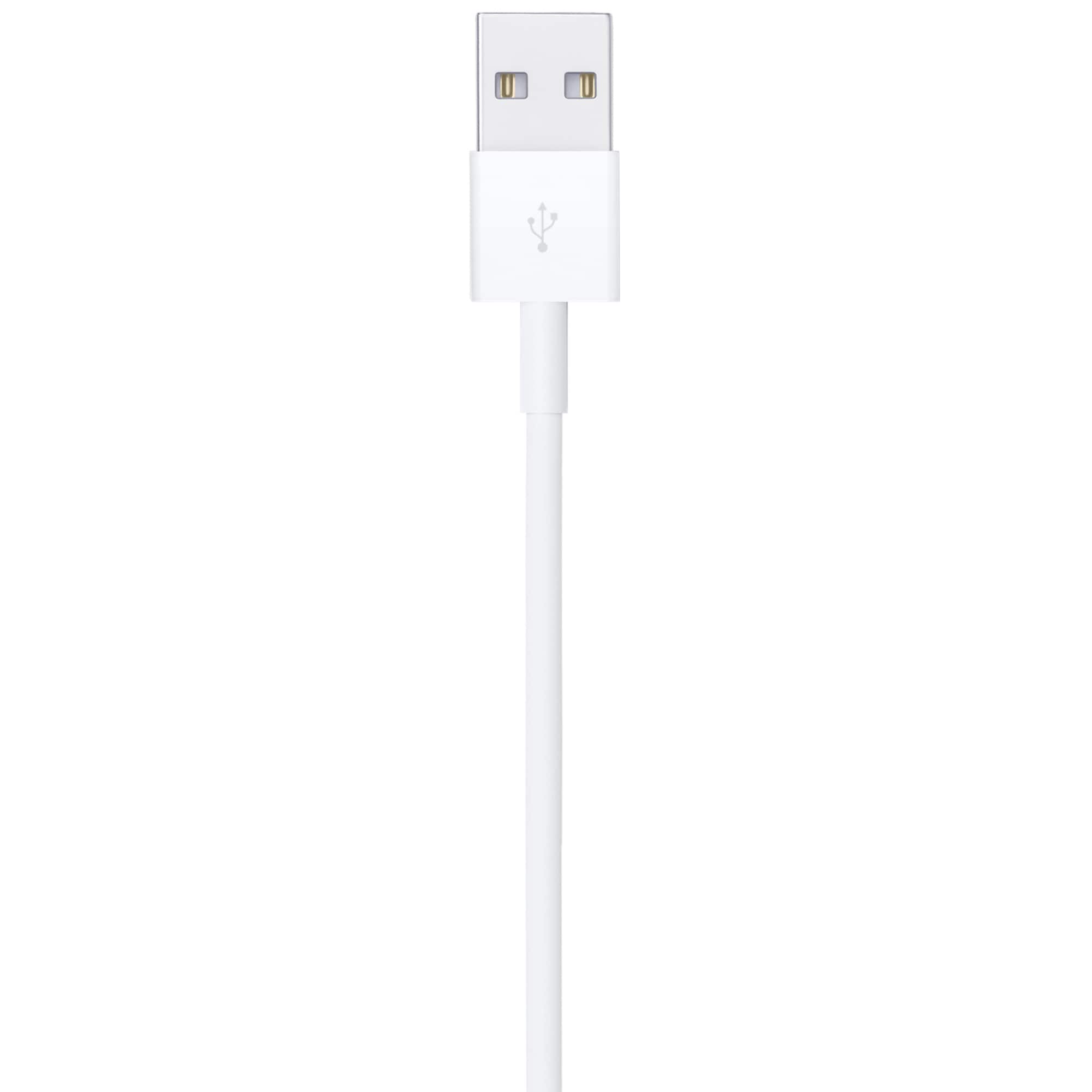 Apple - 3.3' (1M) Lightning to USB-A Cable - White, , hires