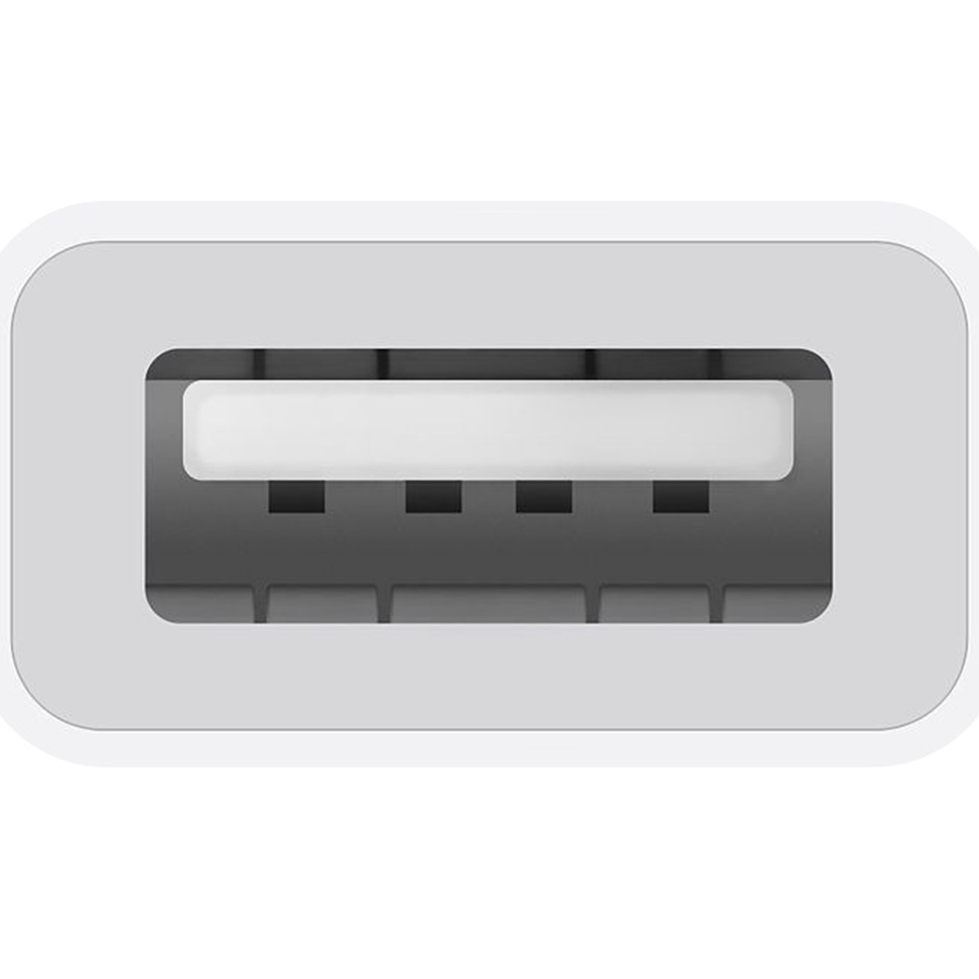 Apple USB-C to USB-A Adapter, , hires