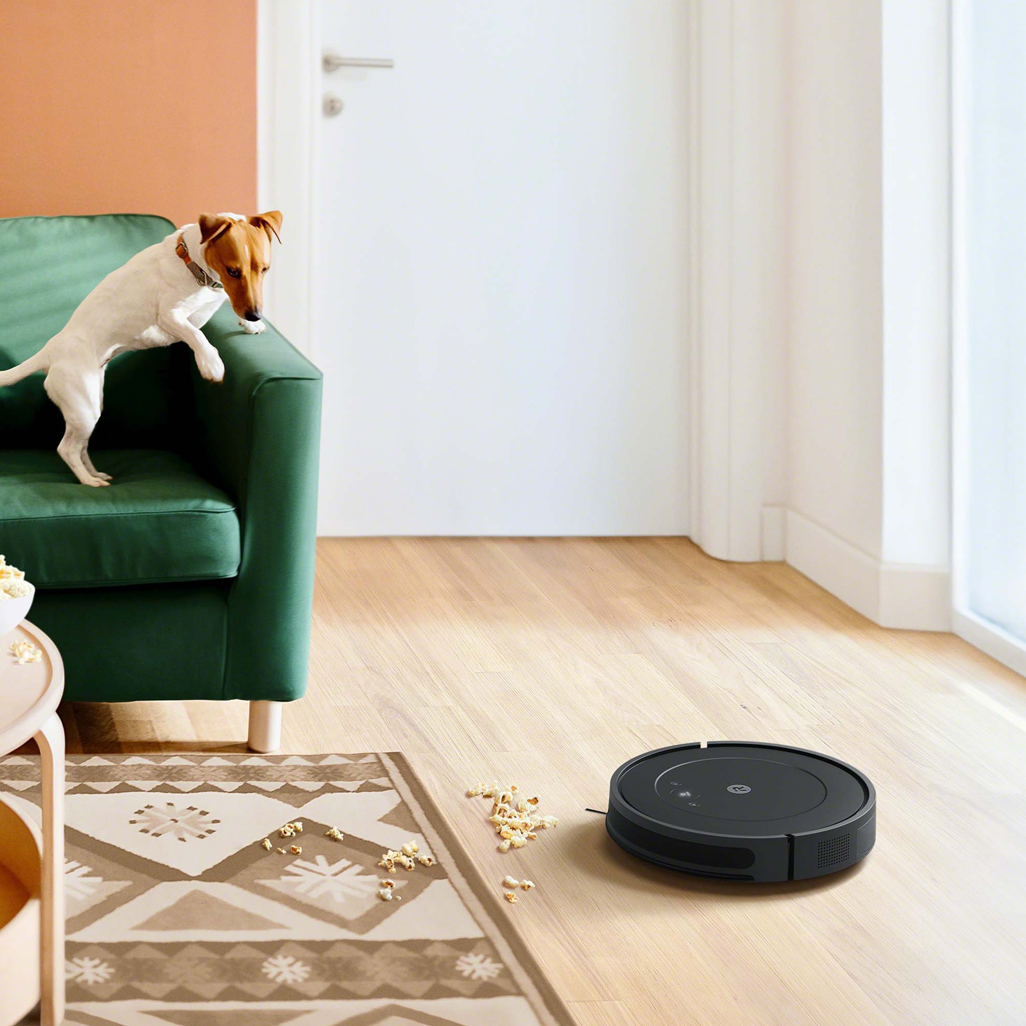 iRobot Roomba Essential Wi-Fi Connected Pet Robotic Vacuum with Voice-Control, , hires