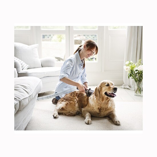 Dyson Vacuum Groom Tool and Cleanup Kit, , hires