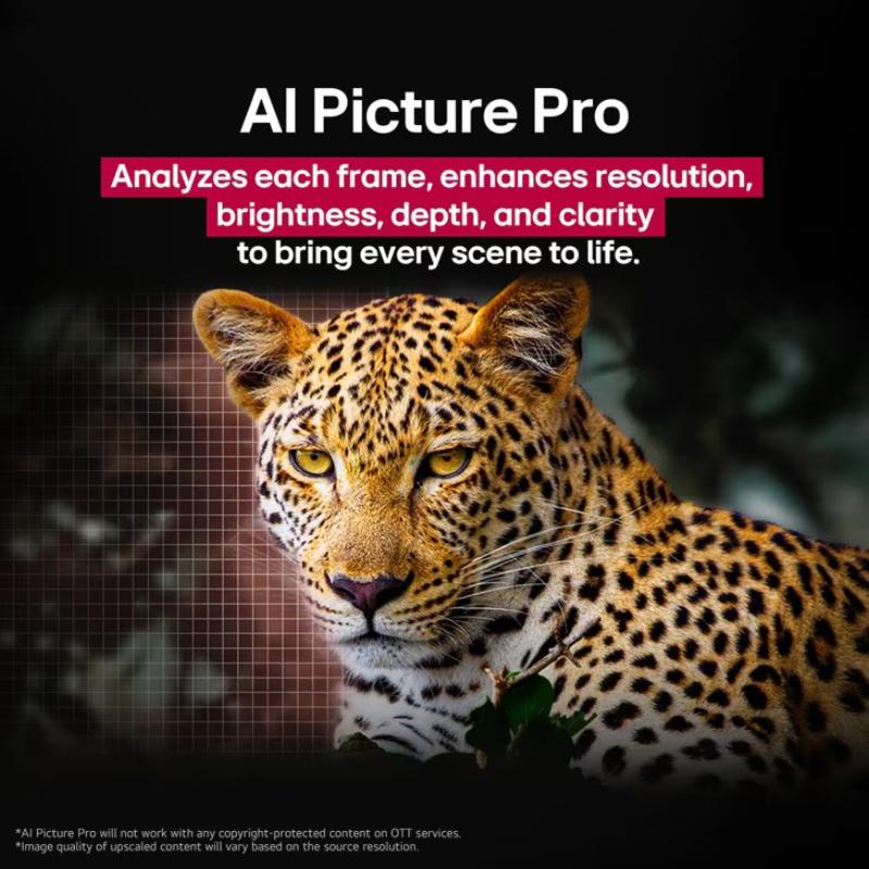 LG - 97" Class G5 Series OLED evo 4K UHD Smart webOS TV, , hires