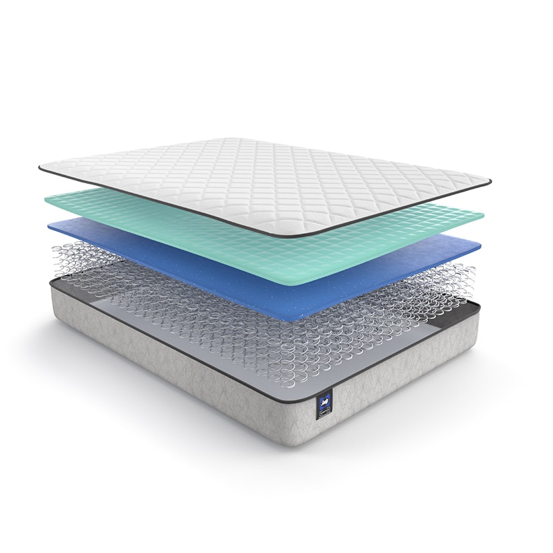 Sealy Essentials Barnham Firm - Queen Mattress, , hires