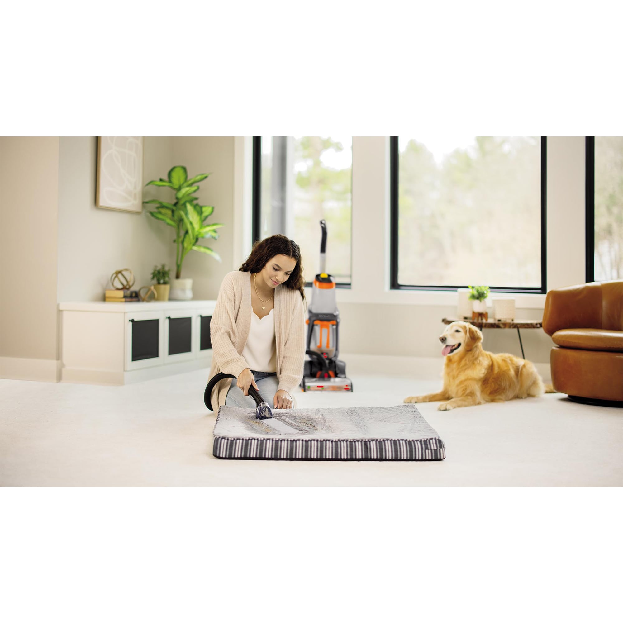 Bissell Pro-Heat 2x Revolution Pet Carpet Cleaner, , hires