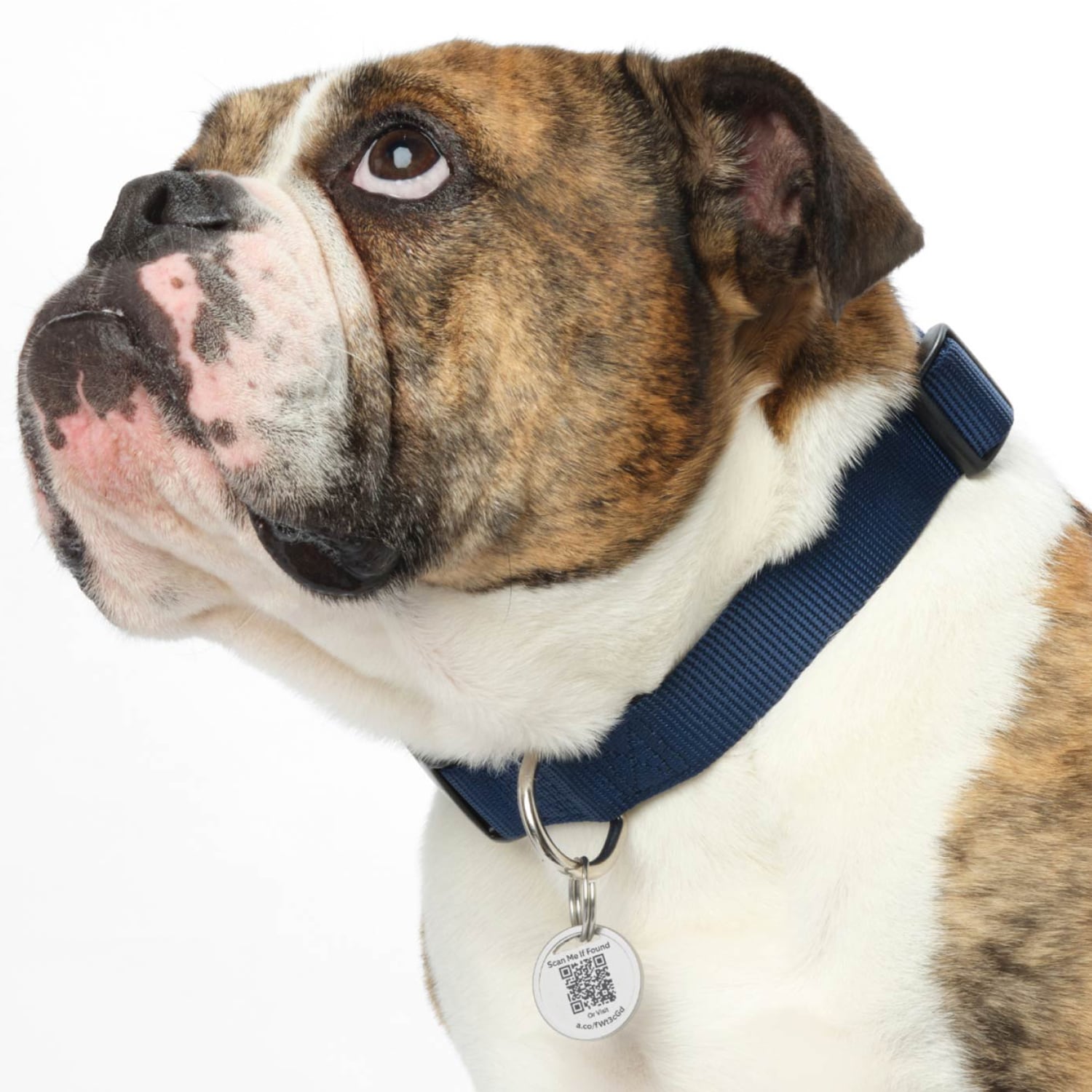 Ring Pet Tag - Silver, , hires