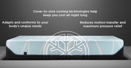 Tempure-Pedic Technology Tempure-Pedic Technology