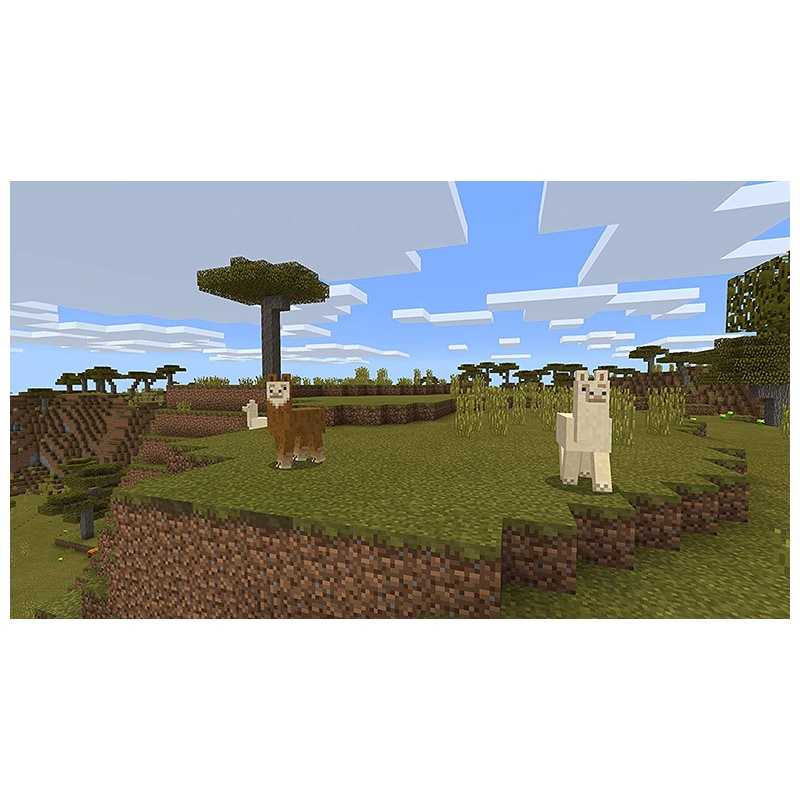 Minecraft for Nintendo Switch, , hires