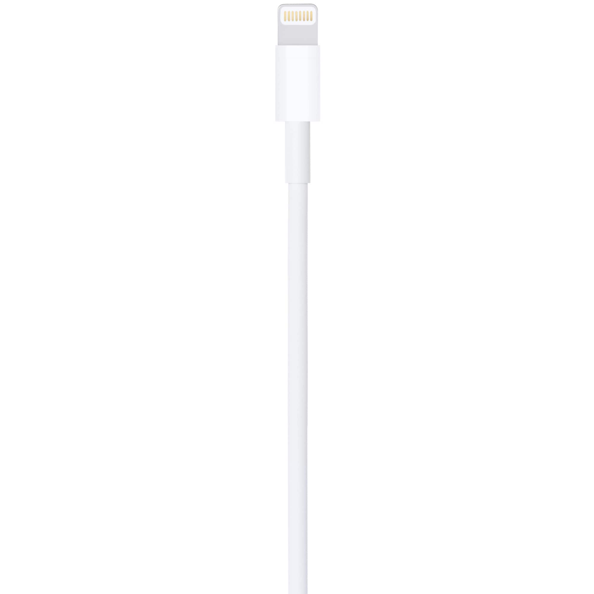 Apple - 3.3' (1M) Lightning to USB-A Cable - White, , hires