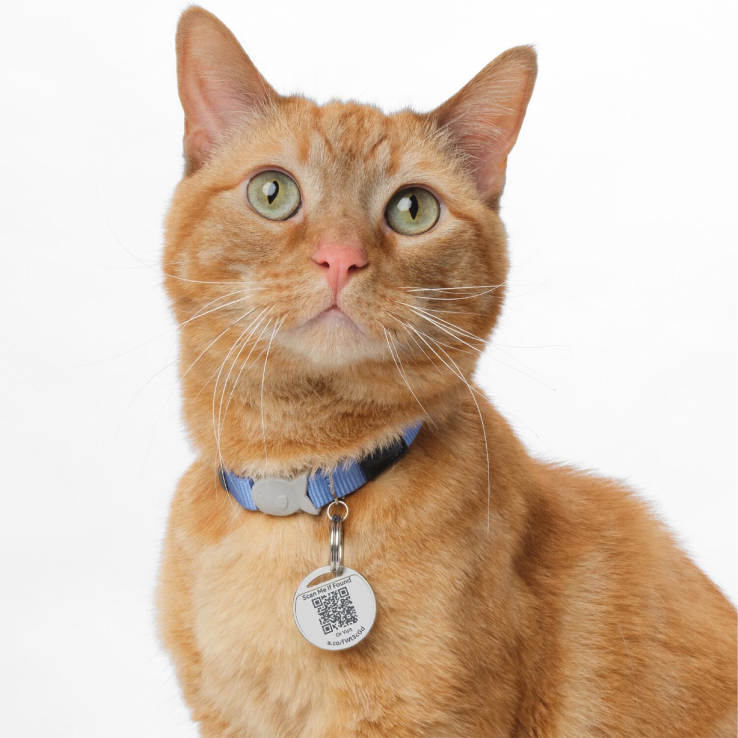 Ring Pet Tag - Silver, , hires