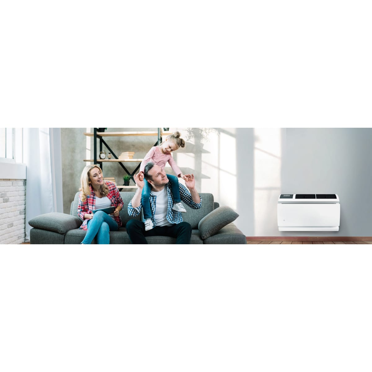 Friedrich WallMaster Inverter Series 16,800 BTU 230V Smart Through-the-Wall Air Conditioner, 3 Fan Speeds, Remote Control - Cool Grey, , hires